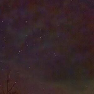 Meet your posher, Sherry